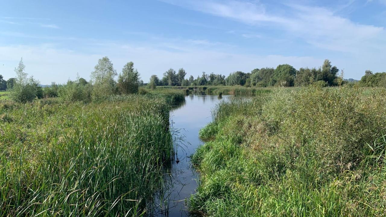't Paviljoenhûs bij Sneekermeer Offingawier Extérieur photo