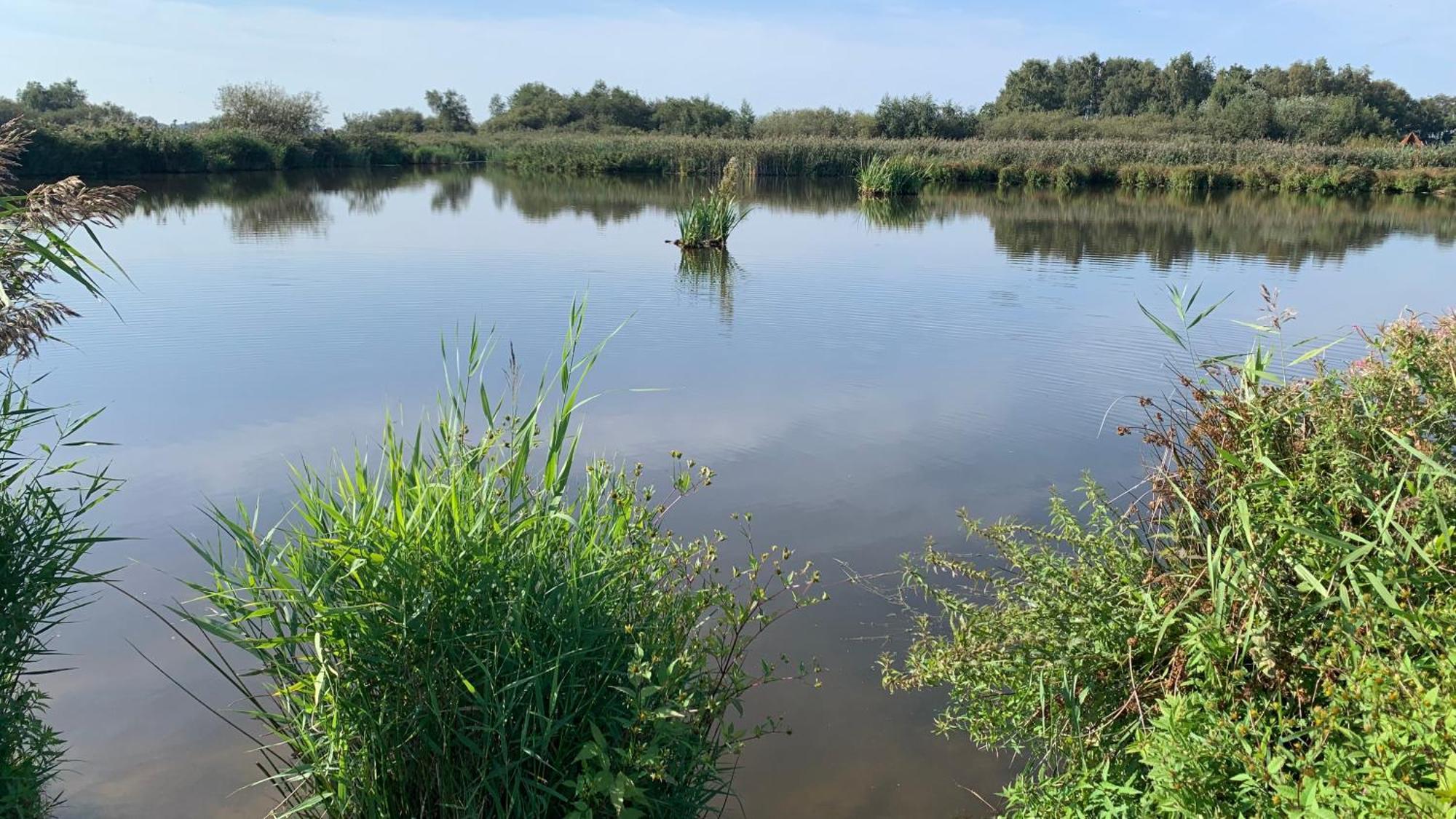 't Paviljoenhûs bij Sneekermeer Offingawier Extérieur photo